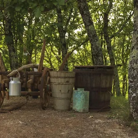 Luxury Cetiri Hrasta * Pićan