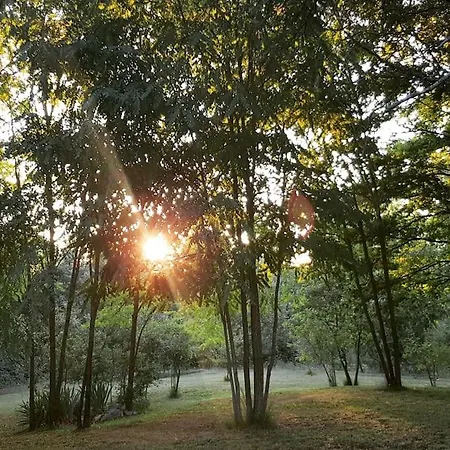 Luxury Cetiri Hrasta Pićan