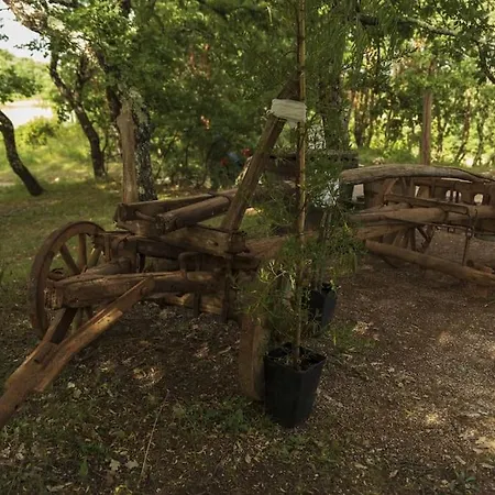 Dom wakacyjny Luxury Cetiri Hrasta