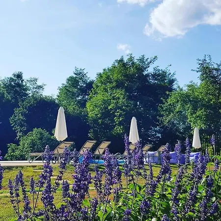 Luxury Cetiri Hrasta *