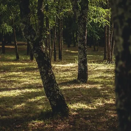 Luxury Cetiri Hrasta