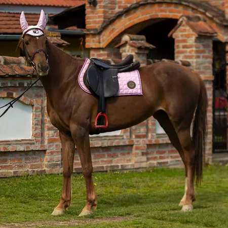 Luxury Cetiri Hrasta *