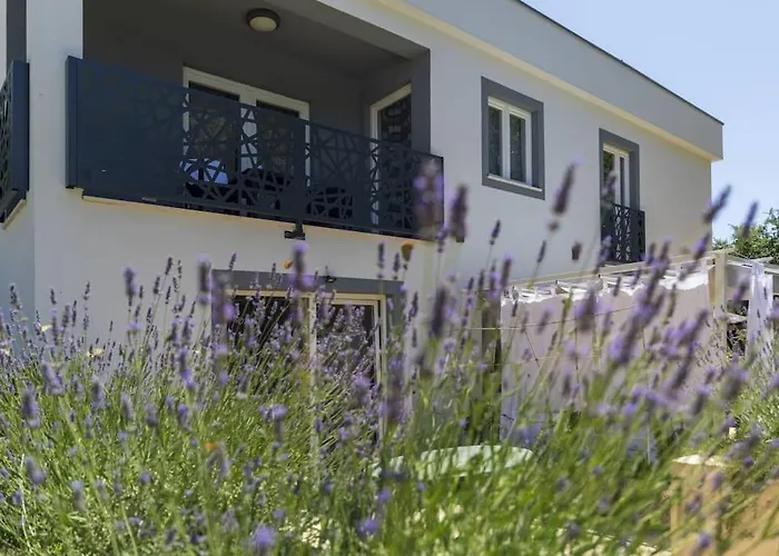 Luxury Cetiri Hrasta