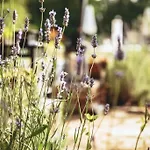 Luxury Cetiri Hrasta Holiday home Pican