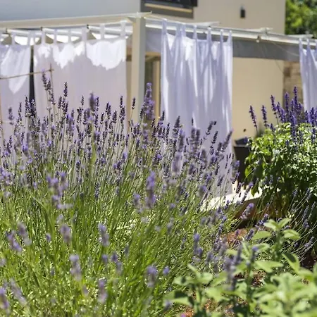 Holiday home Luxury Cetiri Hrasta *