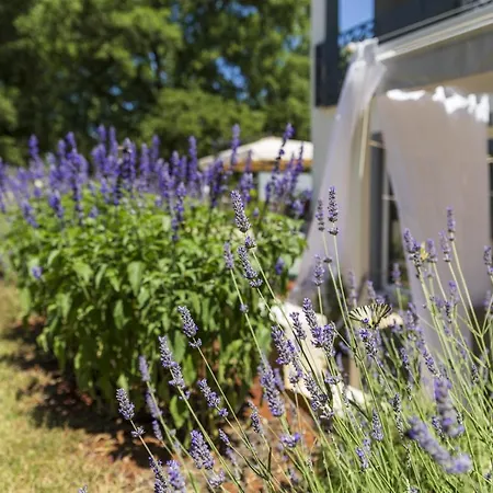 Luxury Cetiri Hrasta Holiday home