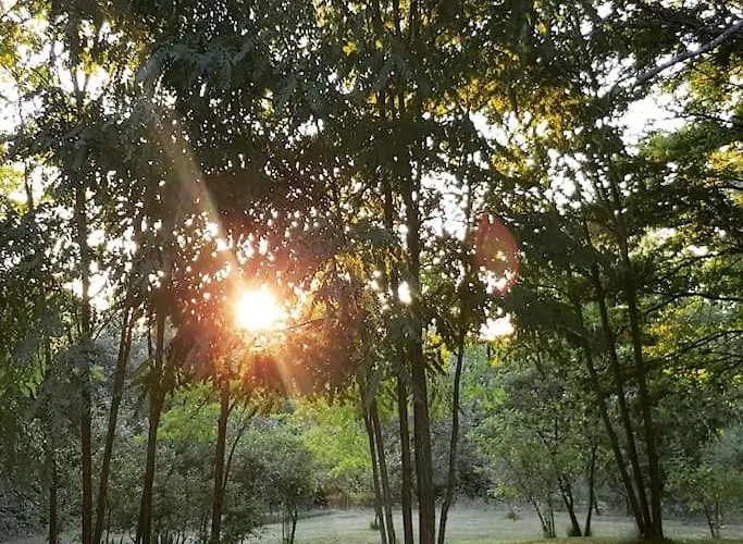 Luxury Cetiri Hrasta Pican