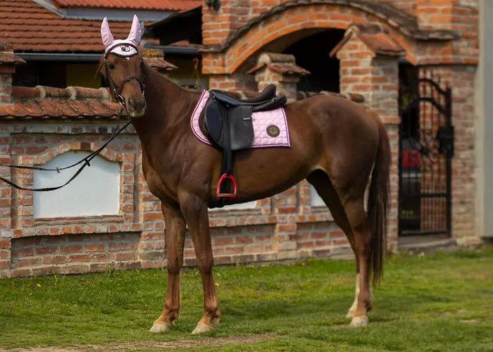 Luxury Cetiri Hrasta *